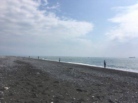 ギリギリイナダサイズ