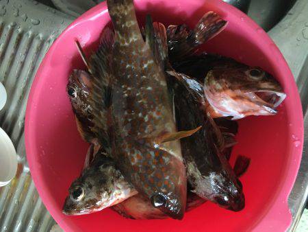 激シブ‥エギング