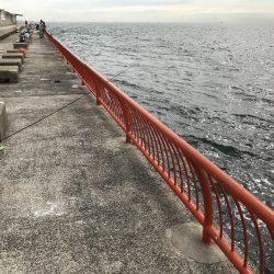 ガシラの唐揚げ