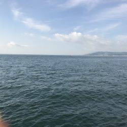 飽きのこない程度に…。