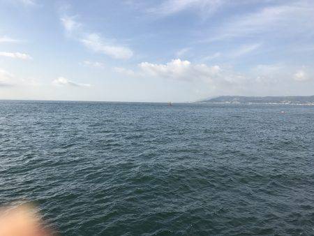 飽きのこない程度に…。