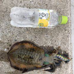 深夜からのランガン