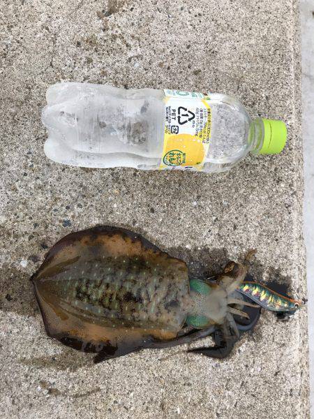 深夜からのランガン