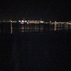 渋いなかの…。