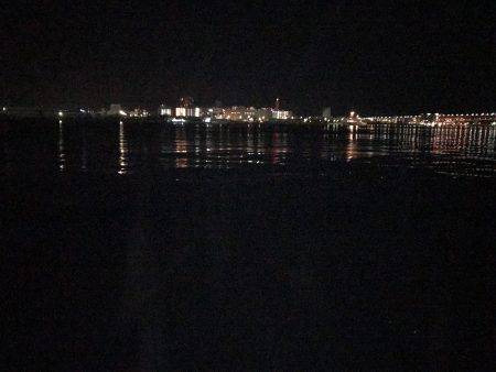 渋いなかの…。