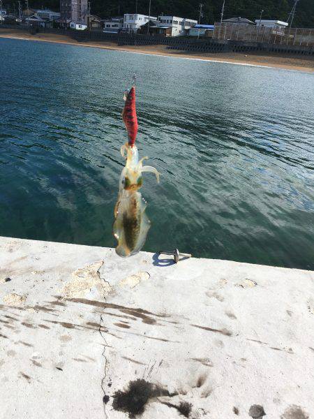 オールリリース…