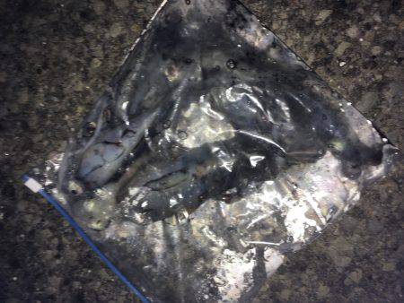 牛ヶ首からの泉南