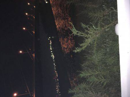 意地フィッシング