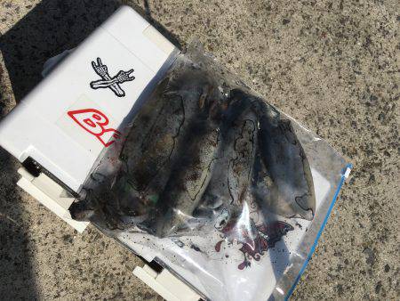 ランガンする元気も無く