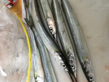 家族でフィッシング