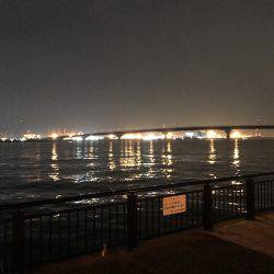 なんとかタチウオ