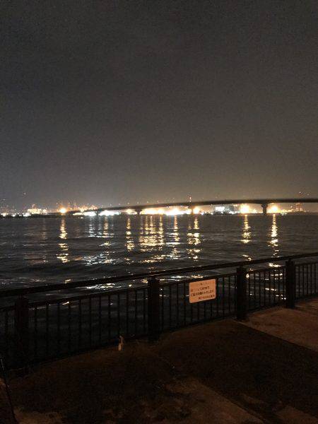 なんとかタチウオ