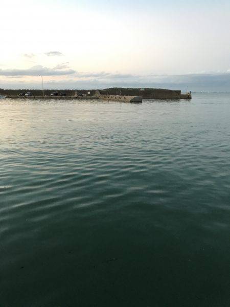 青島港に夕方からの釣行！