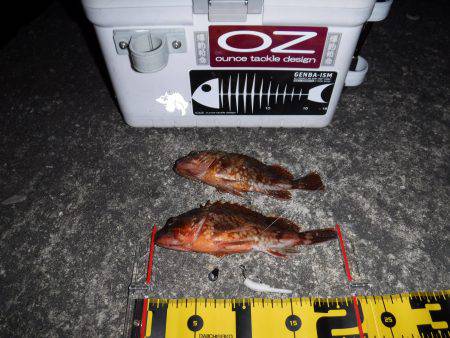 ガジリングにはまってます‼️