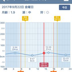 朝まづめ エギング