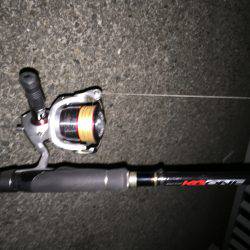 台風前、太刀魚調査