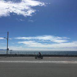 アジングの季節