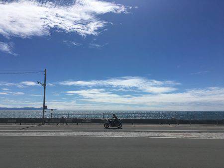 アジングの季節