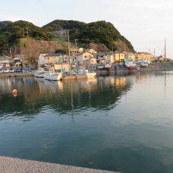 アジ狙いも不発