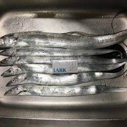 オンスタックル杯出場