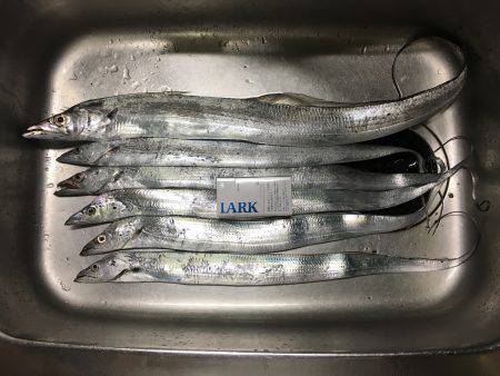 オンスタックル杯出場