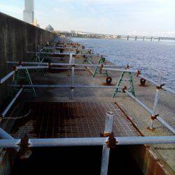 やっぱり土産はタコかいな‼