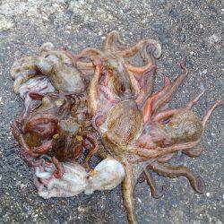 お兄さんとお姉さんが来ましたね。