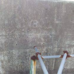 タコだけは良く釣れるんだけどなあ( ≧∀≦)ノ