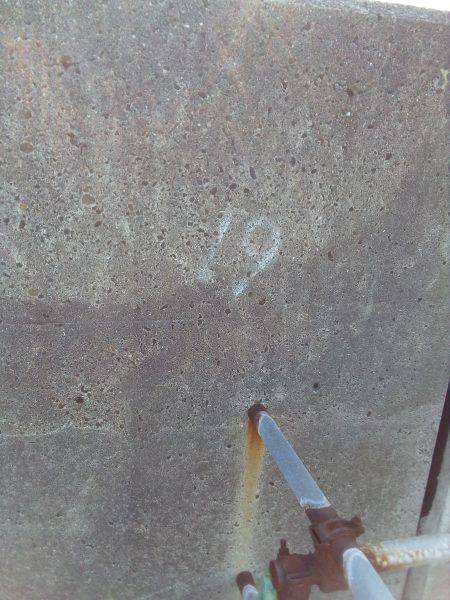 今朝は7つです(^_^)v