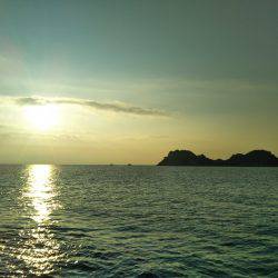 阿南市の辰巳でタチウオとサゴシ