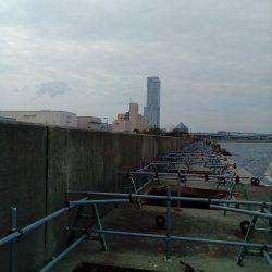 釣れないのは潮のせい、それとも腕?