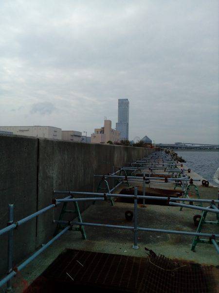 釣れないのは潮のせい、それとも腕?