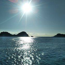 阿南市の辰巳でタチウオとアジ