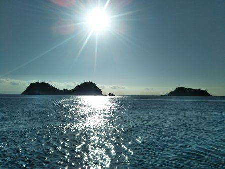 阿南市の辰巳でタチウオとアジ