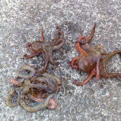 天気は最高なんだがなぁ~(  ̄ー ̄)