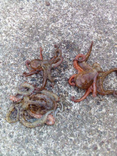 天気は最高なんだがなぁ~(  ̄ー ̄)