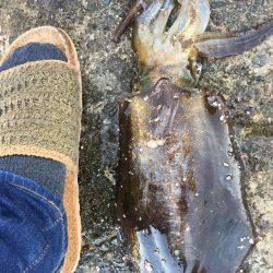 昼過ぎから日没まで８杯