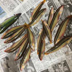 ゆっくりベラ釣り