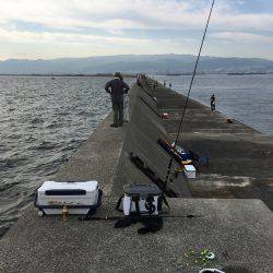 ゆうまづめ釣行