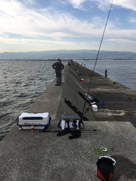 ゆうまづめ釣行