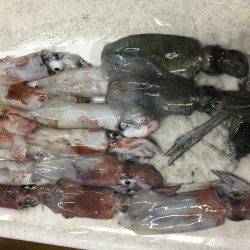 やっとこさのアオリン♡