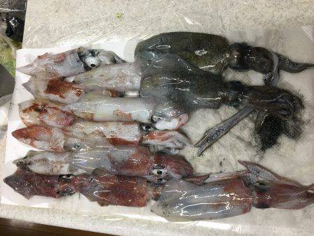 やっとこさのアオリン♡