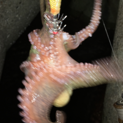 台風は嫌いです。