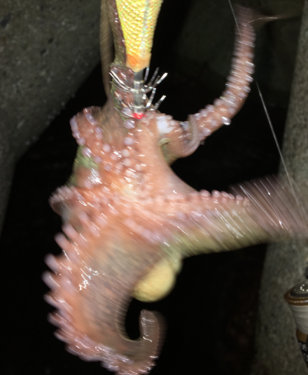 台風は嫌いです。