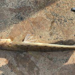 夕日に照らされながら