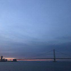 大蔵海岸で夜エギング、ショアジギング