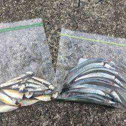 タチウオして帰ればよかったー