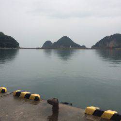 アジ釣り⑯ サヨリ釣りは今年初