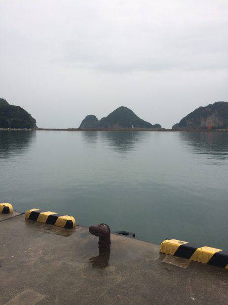 アジ釣り⑯ サヨリ釣りは今年初