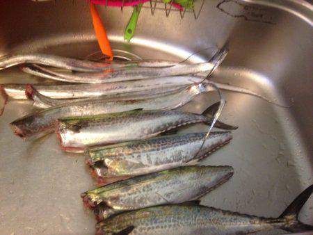 タチフォーからのサゴフォー